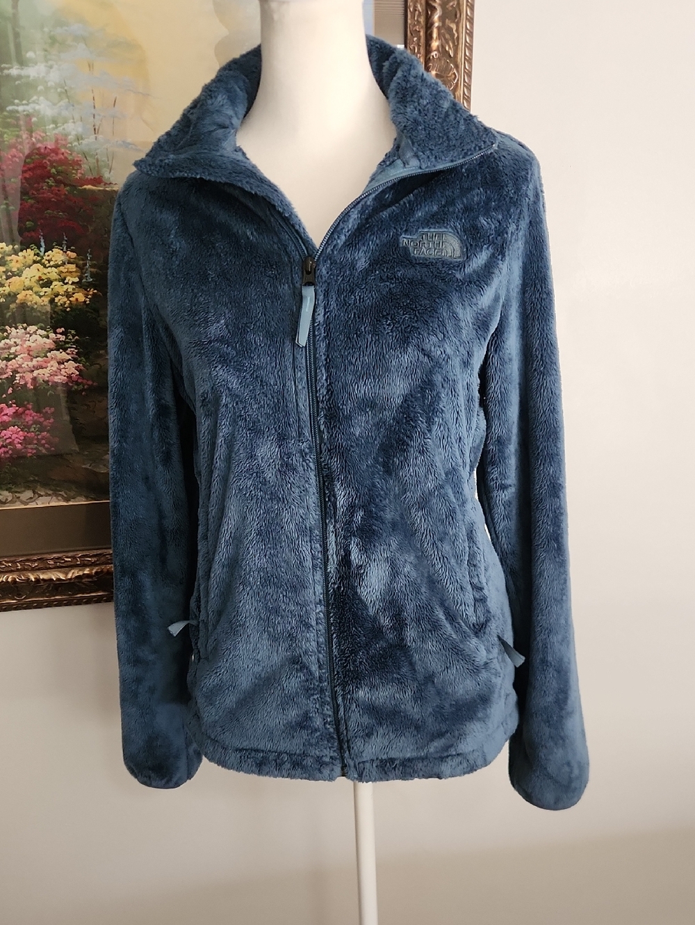 The North Face Women's Plush Full-Zip Jacket